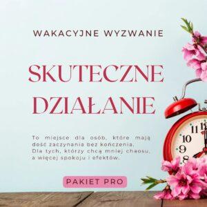 Wyzwanie "Skuteczne działanie" pakiet PRO