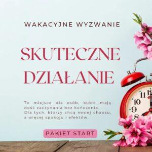 Wyzwanie "Skuteczne działanie" pakiet START